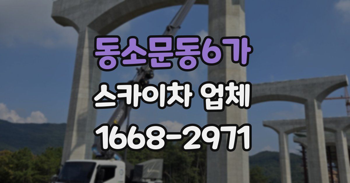 동소문동6가 스카이차 업체
