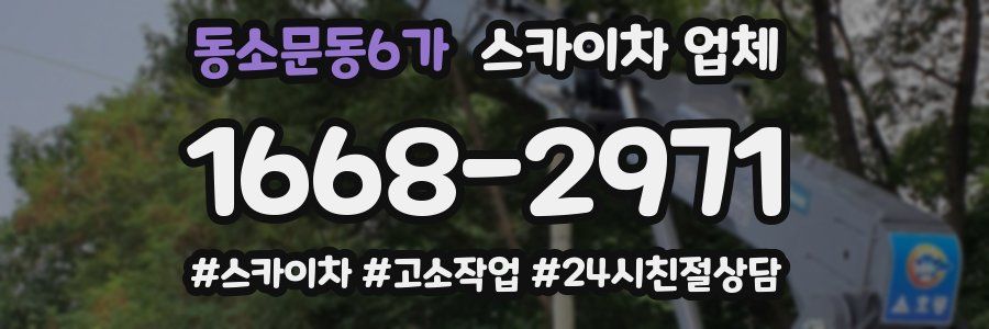 동소문동6가 스카이차 업체