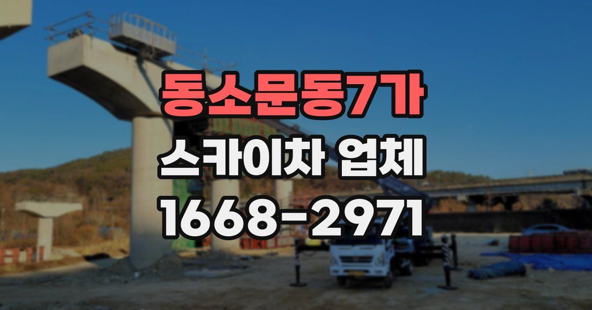 동소문동7가 스카이차 업체