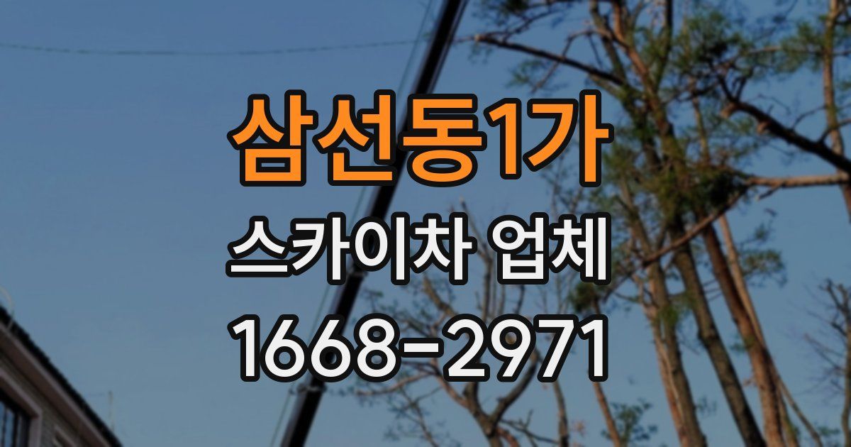 삼선동1가 스카이차 업체