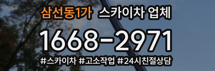 삼선동1가 스카이차 업체