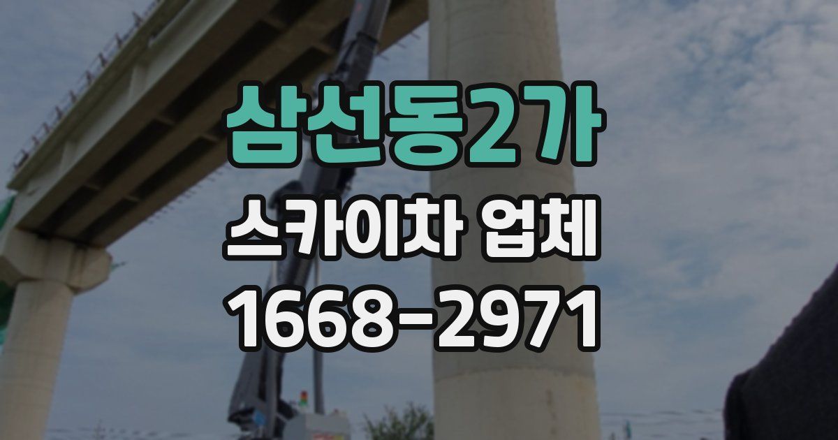 삼선동2가 스카이차 업체