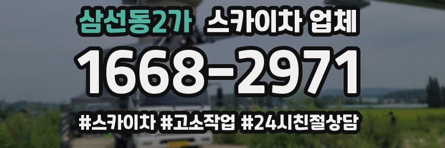 삼선동2가 스카이차 업체