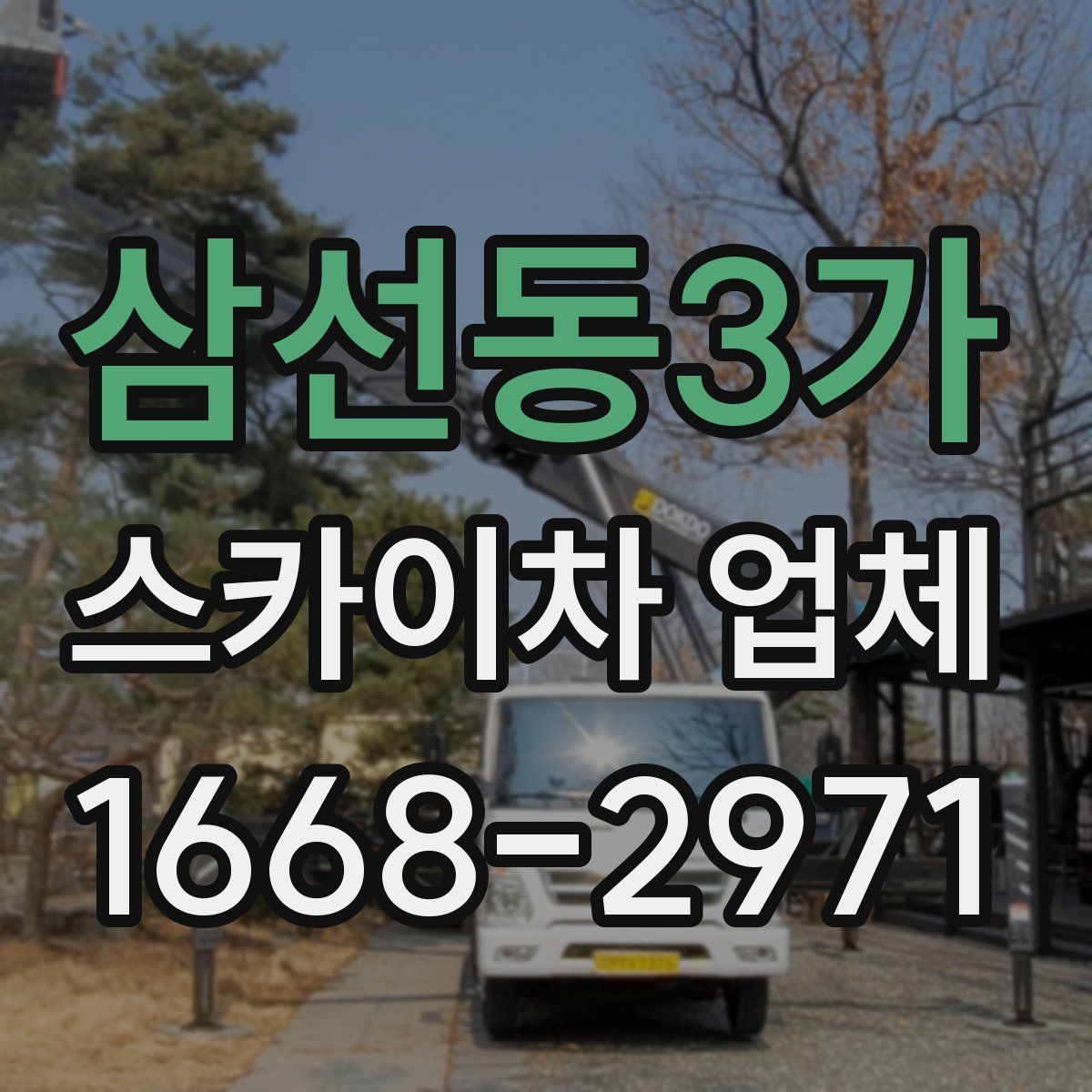 삼선동3가 스카이차 업체
