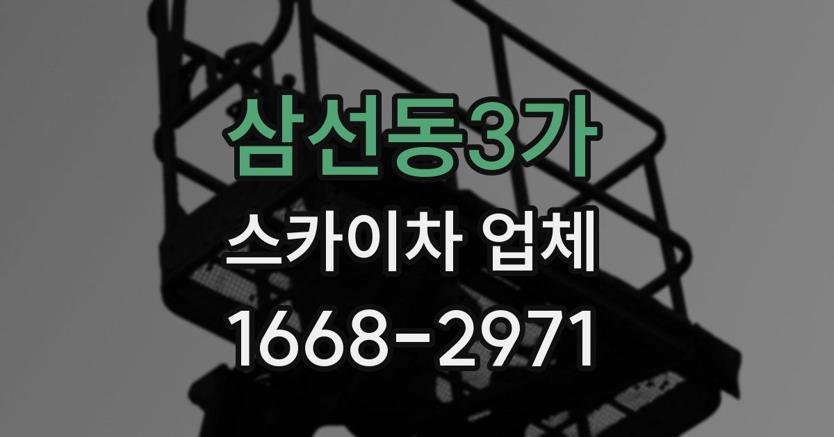 삼선동3가 스카이차 업체