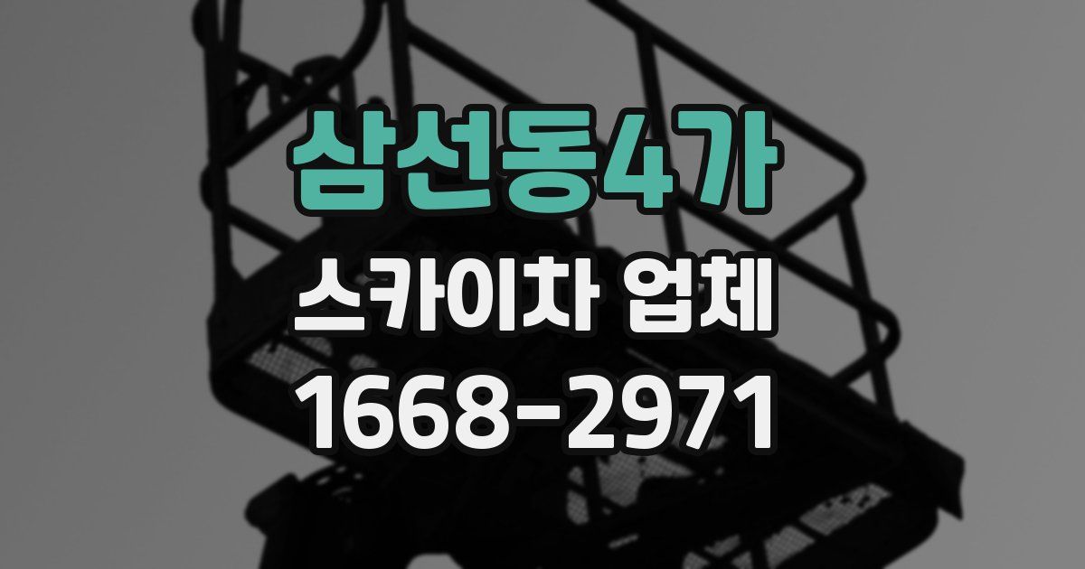 삼선동4가 스카이차 업체