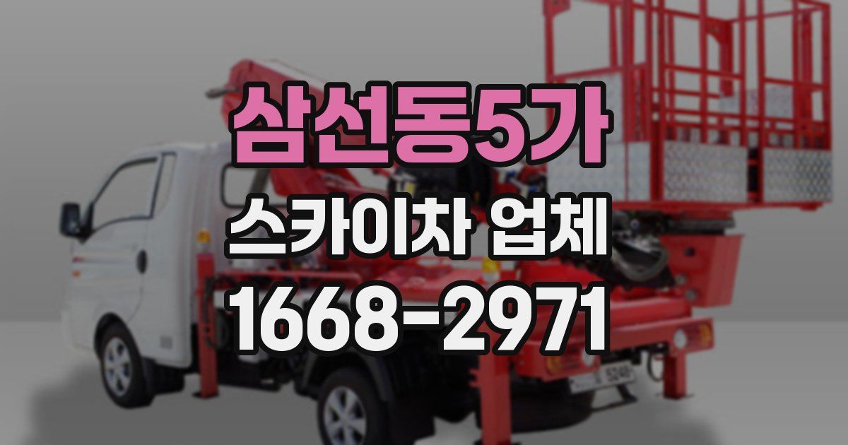 삼선동5가 스카이차 업체