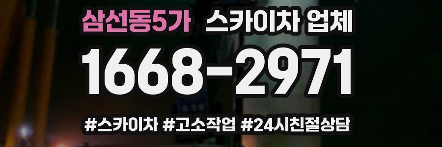 삼선동5가 스카이차 업체
