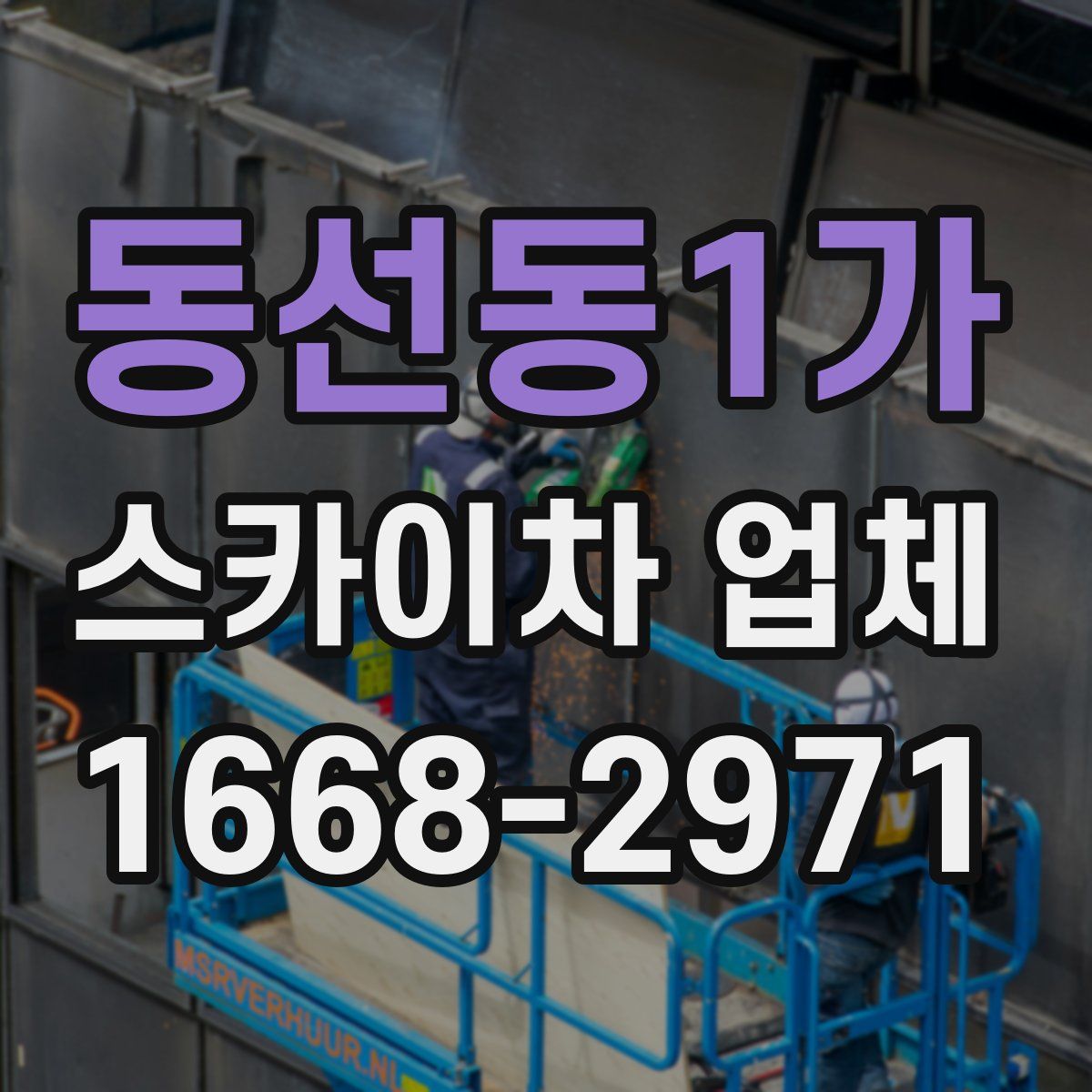 동선동1가 스카이차 업체