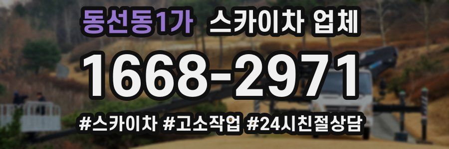 동선동1가 스카이차 업체