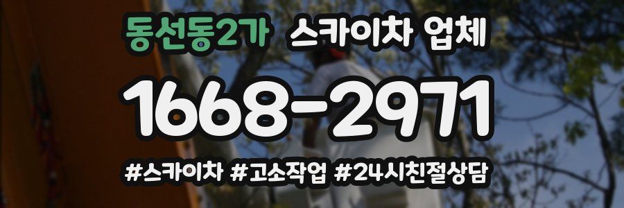 동선동2가 스카이차 업체