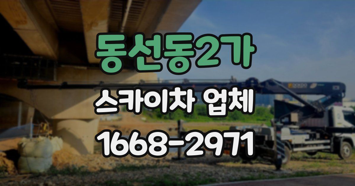 동선동2가 스카이차 업체