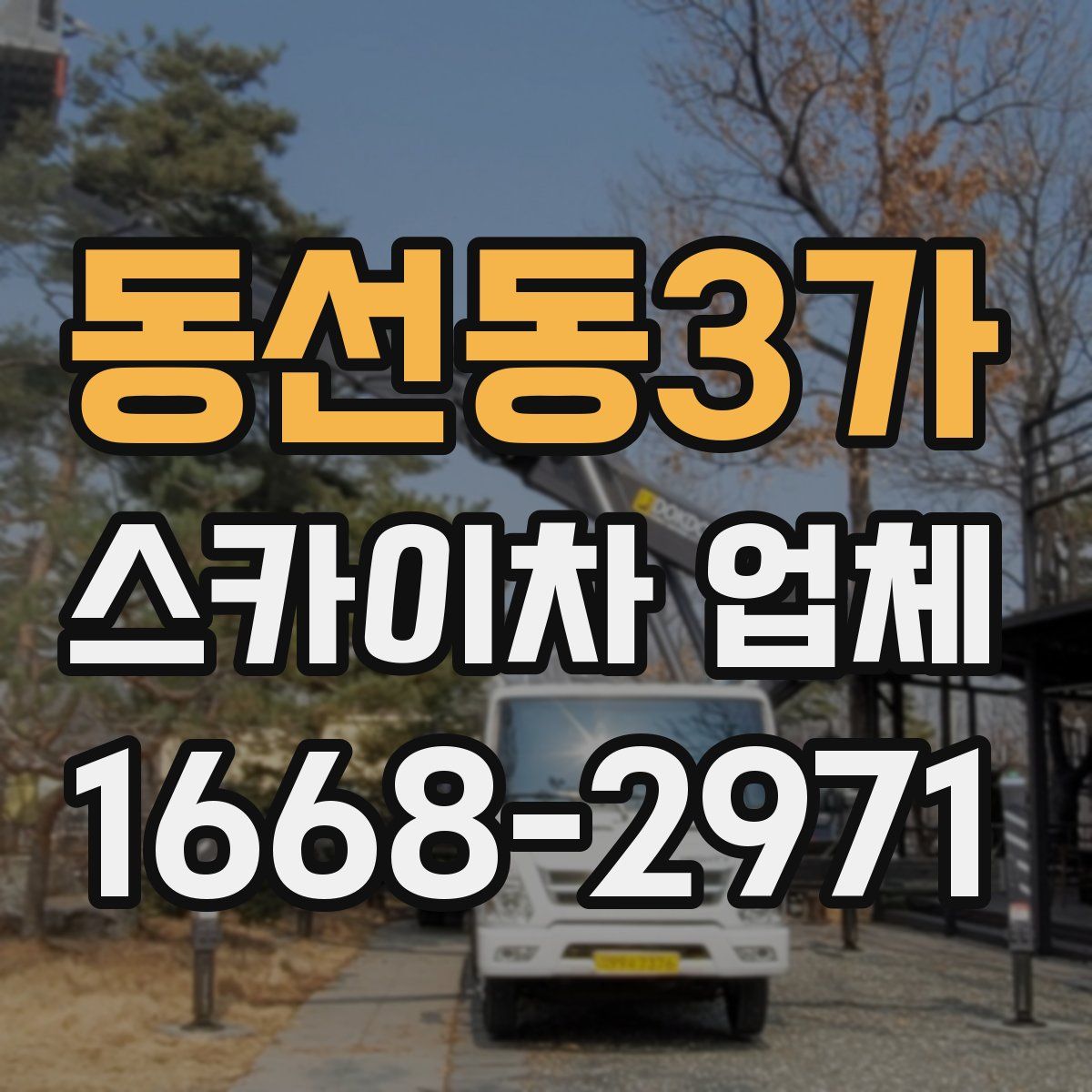 동선동3가 스카이차 업체