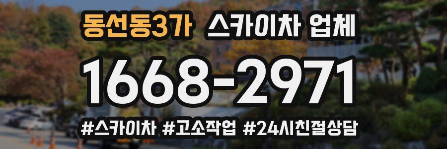 동선동3가 스카이차 업체