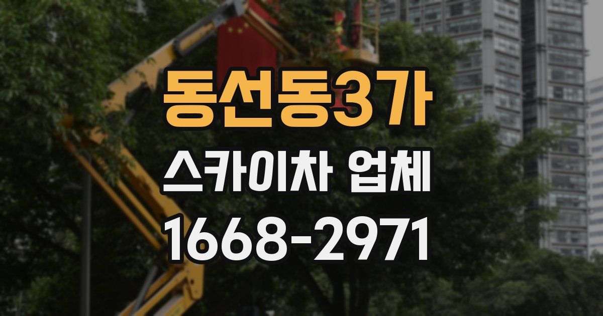동선동3가 스카이차 업체