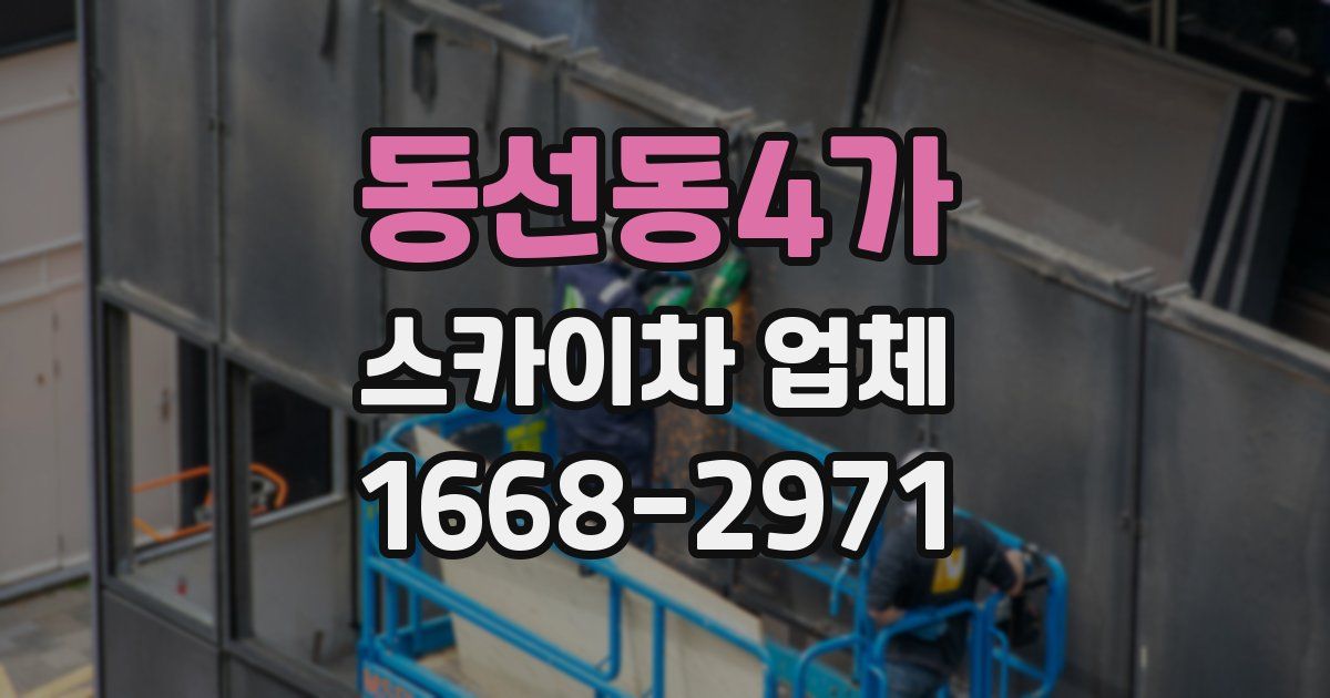 동선동4가 스카이차 업체