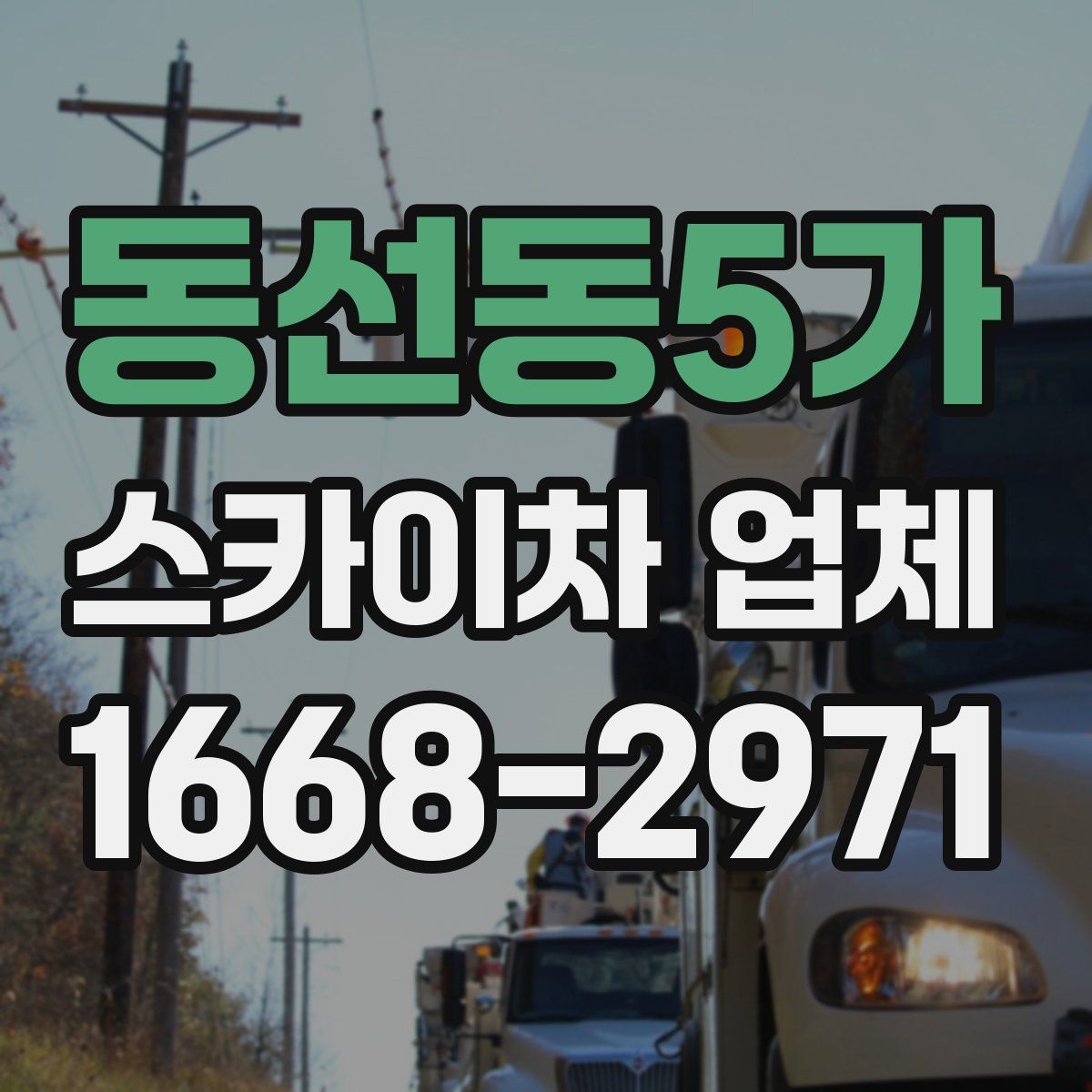 동선동5가 스카이차 업체