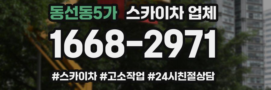 동선동5가 스카이차 업체