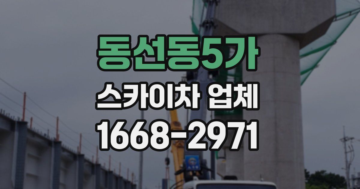 동선동5가 스카이차 업체