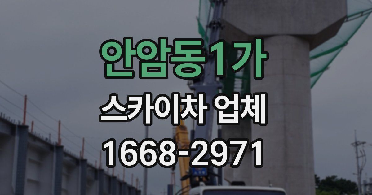 안암동1가 스카이차 업체