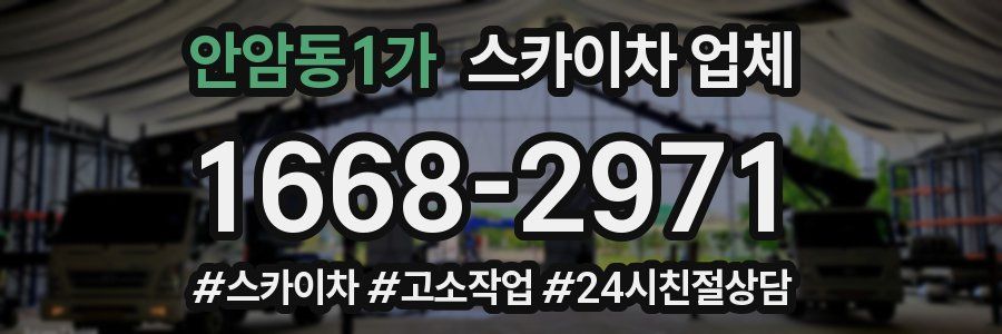 안암동1가 스카이차 업체