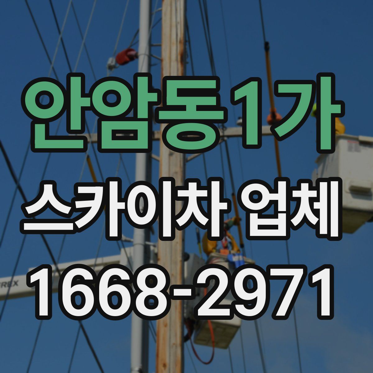 안암동1가 스카이차 업체
