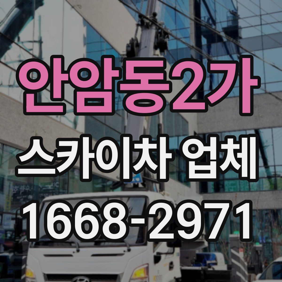 안암동2가 스카이차 업체