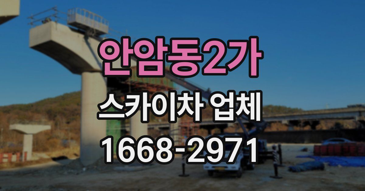 안암동2가 스카이차 업체