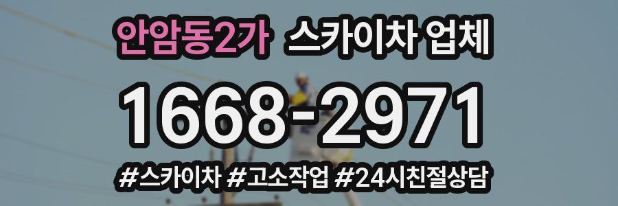 안암동2가 스카이차 업체