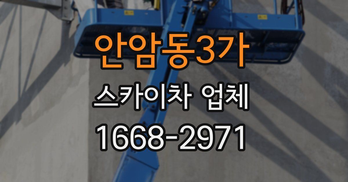 안암동3가 스카이차 업체