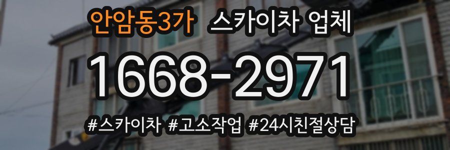 안암동3가 스카이차 업체