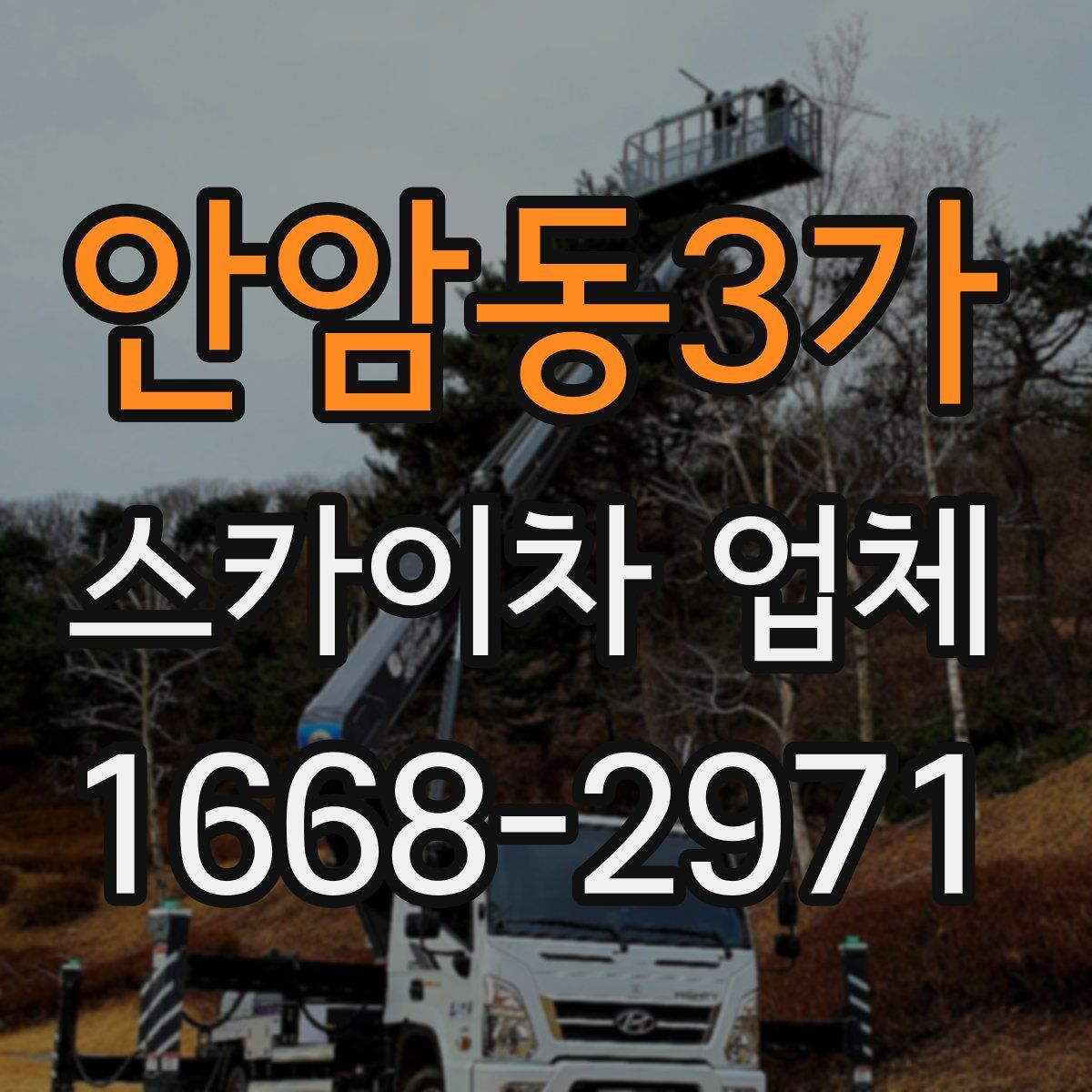 안암동3가 스카이차 업체