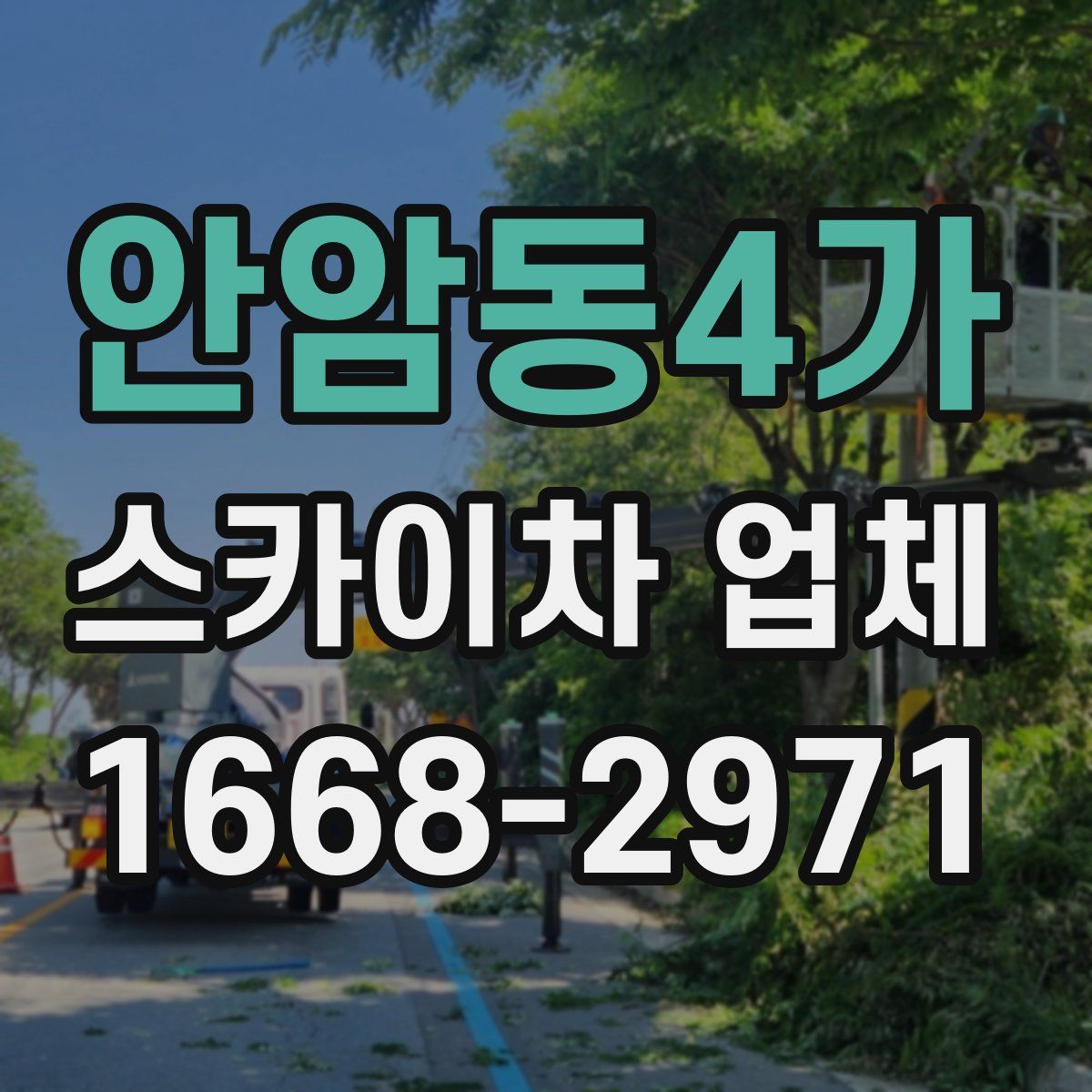 안암동4가 스카이차 업체
