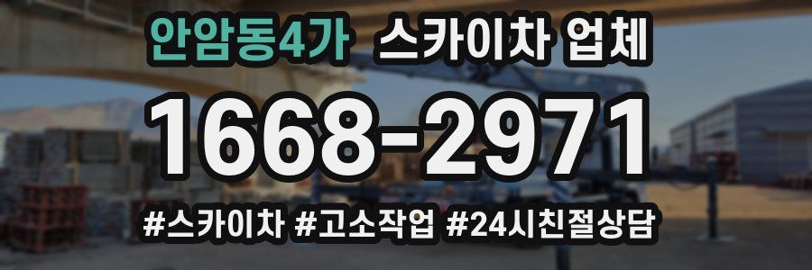 안암동4가 스카이차 업체