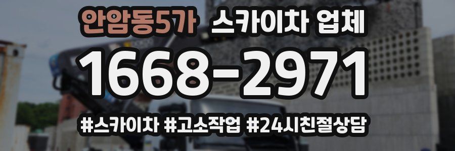 안암동5가 스카이차 업체