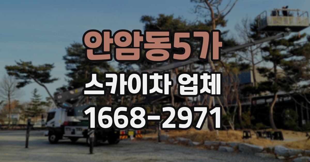 안암동5가 스카이차 업체