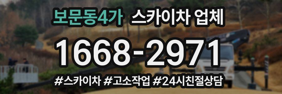 보문동4가 스카이차 업체