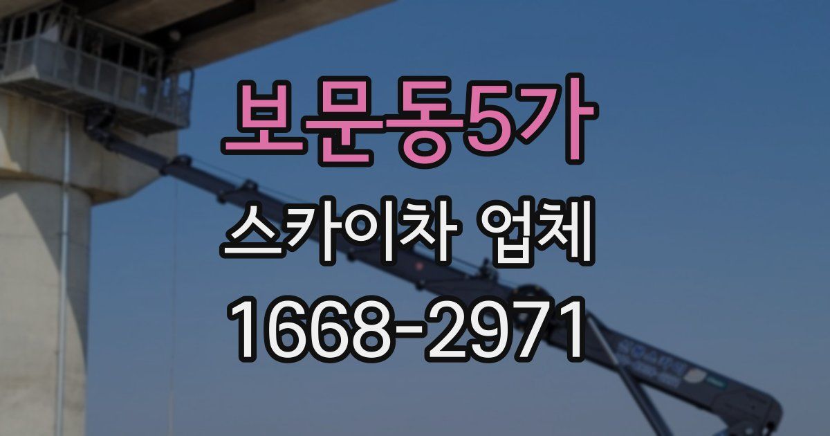 보문동5가 스카이차 업체