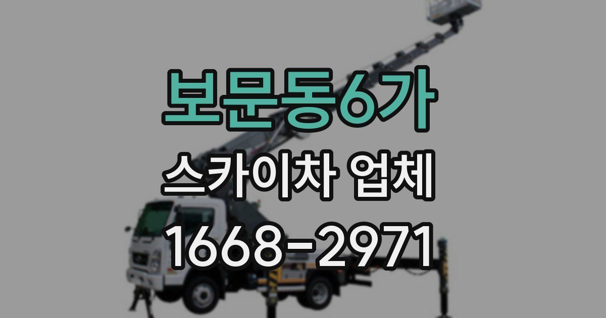보문동6가 스카이차 업체