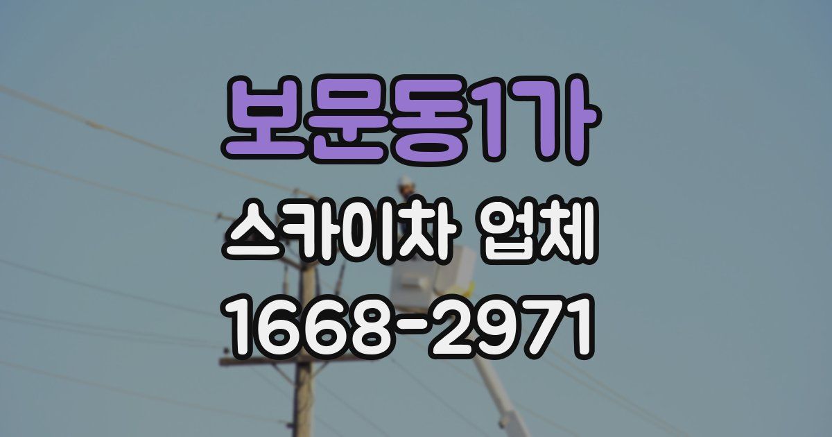 보문동1가 스카이차 업체