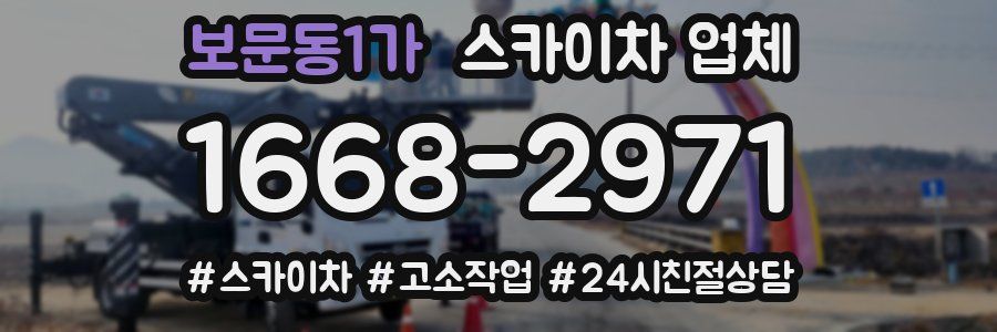 보문동1가 스카이차 업체