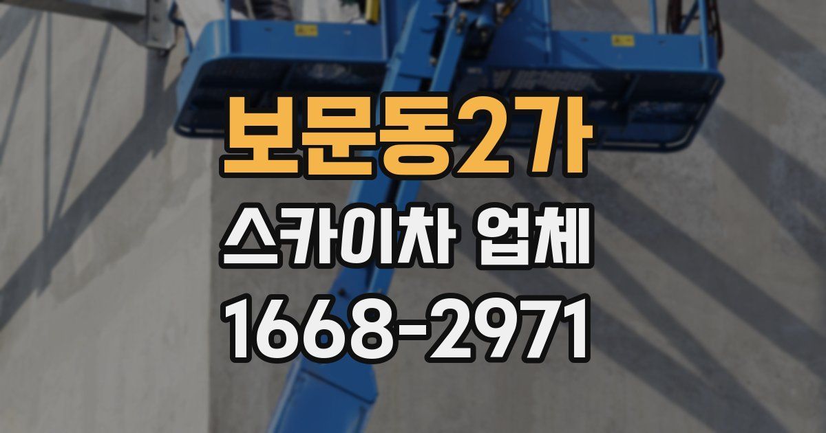 보문동2가 스카이차 업체