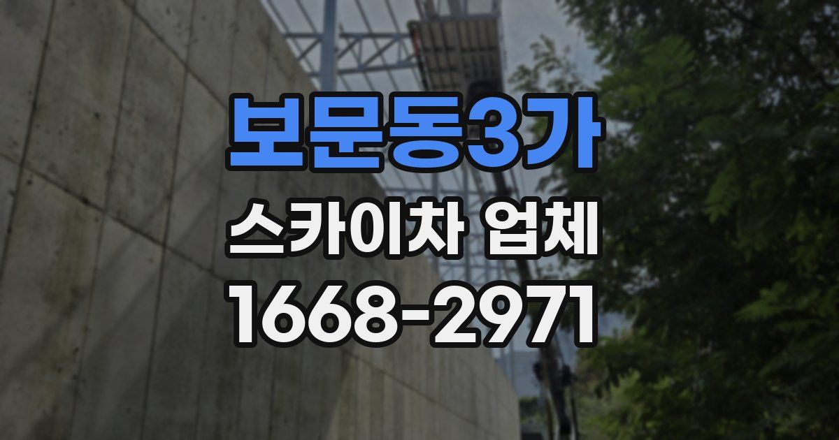 보문동3가 스카이차 업체