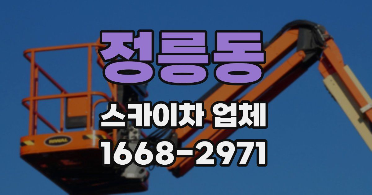 정릉동 스카이차 업체