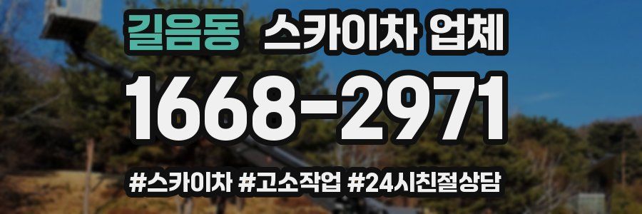 길음동 스카이차 업체