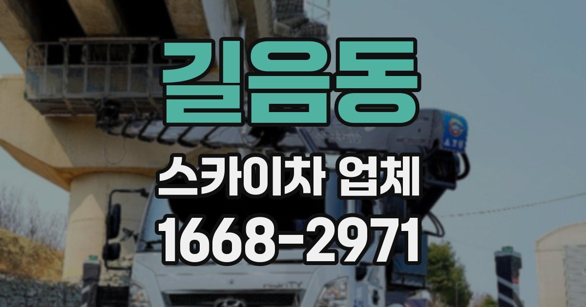 길음동 스카이차 업체