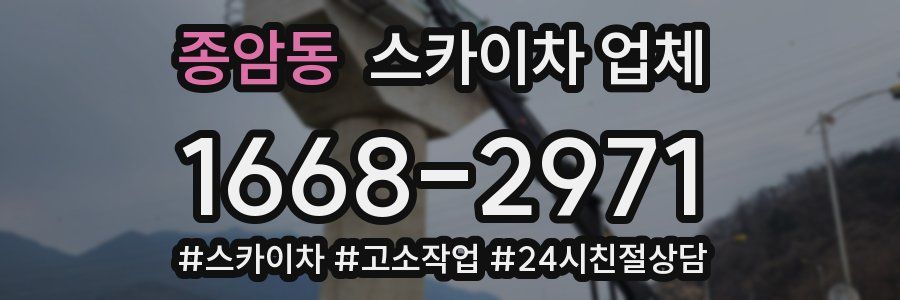 종암동 스카이차 업체