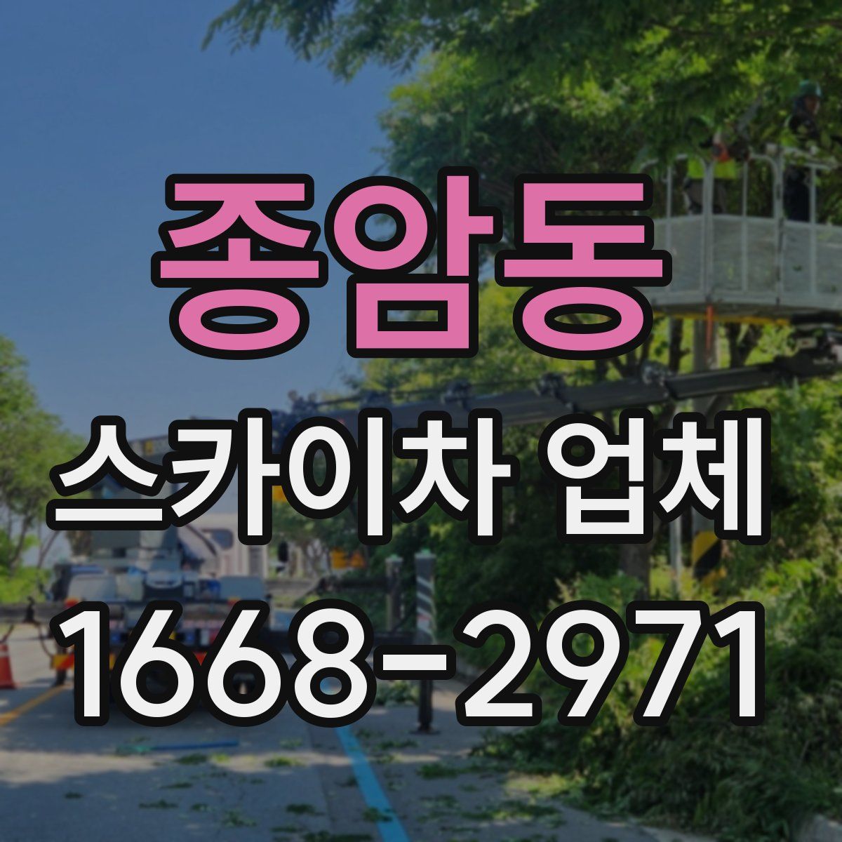 종암동 스카이차 업체