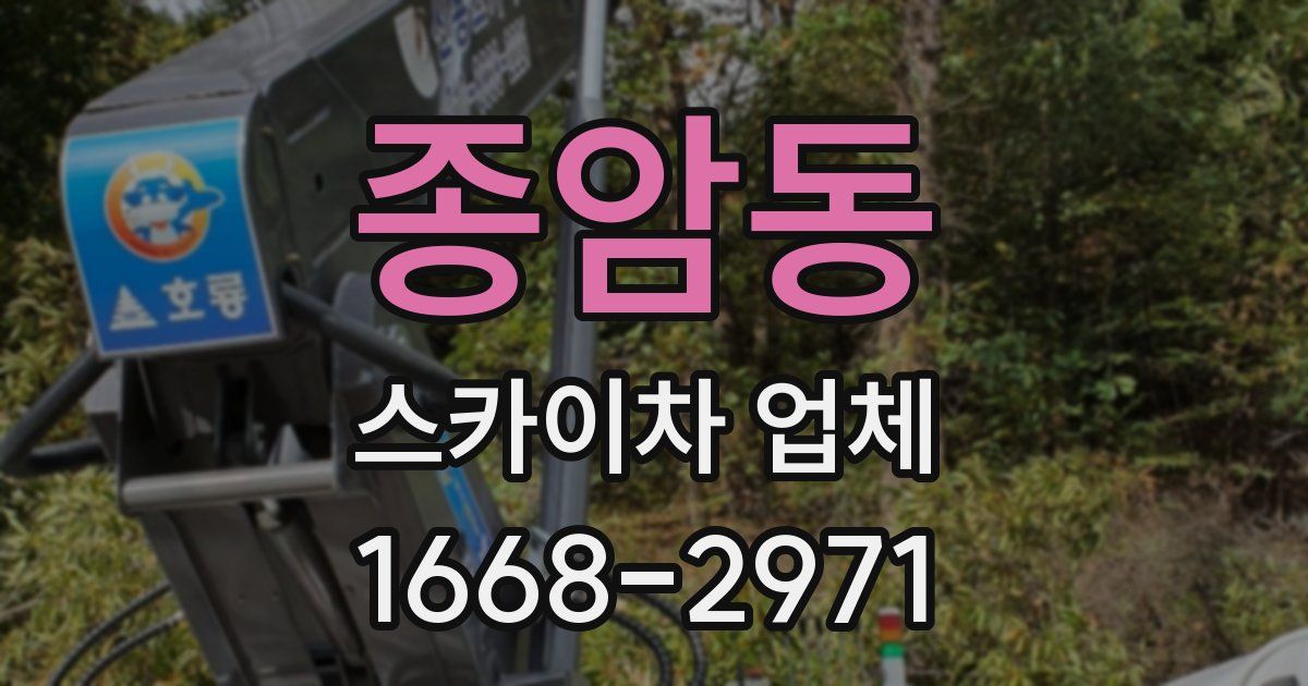 종암동 스카이차 업체