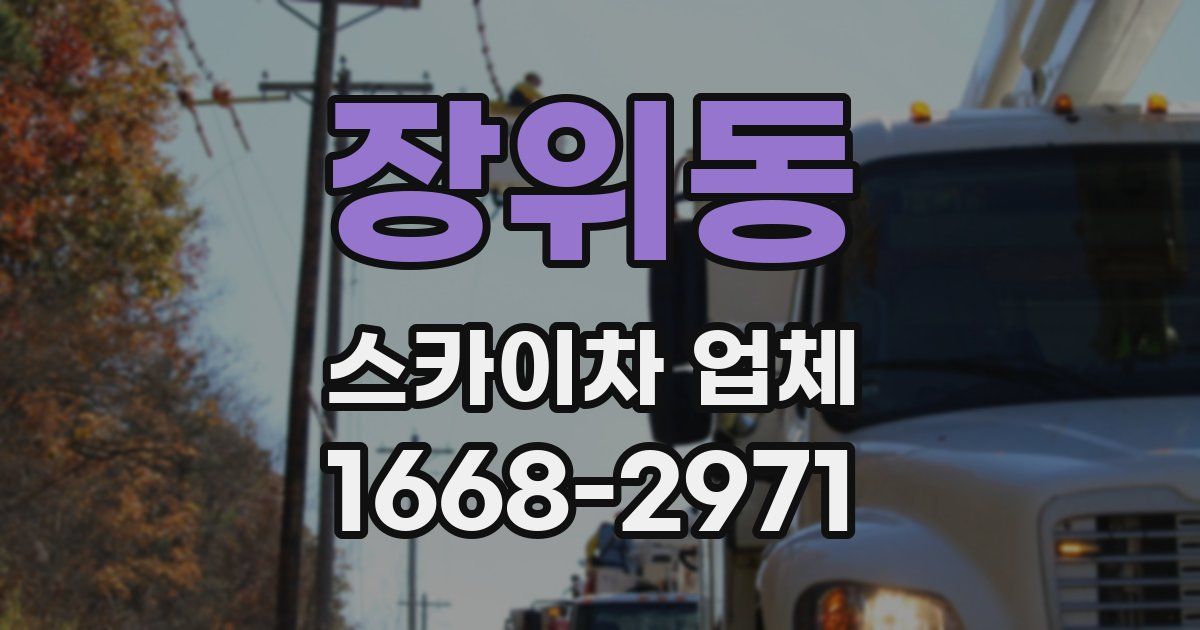 장위동 스카이차 업체